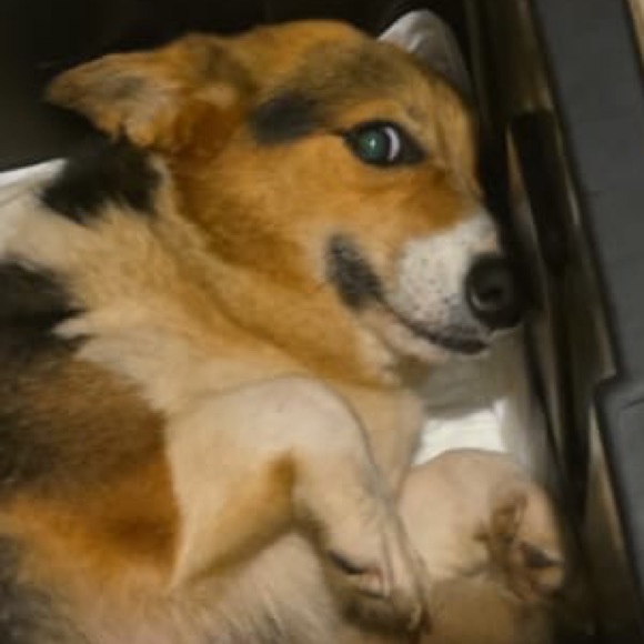 efrainsedano